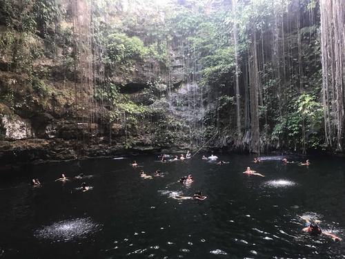 セノーテ_cenote_still1.jpg