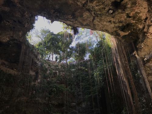 セノーテ_cenote_still4.jpg